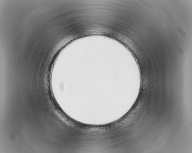 X0000111251026200908131203