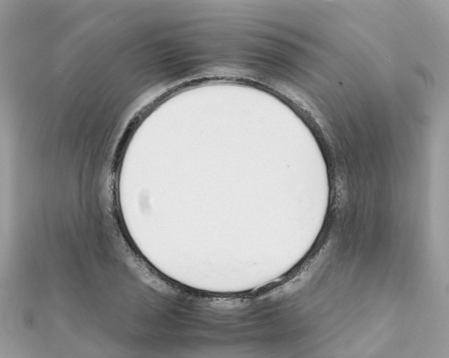 X0000111251029200908131203