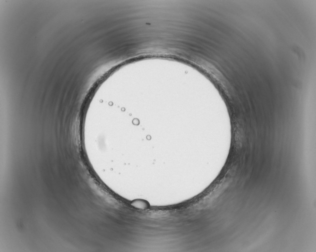 X0000111251030200908131203