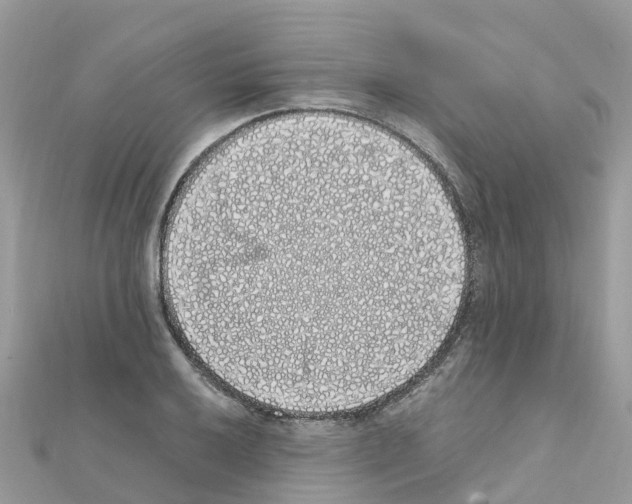 X0000111251032200908131203