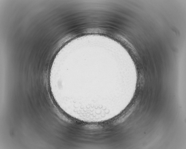 X0000111251033200908131203