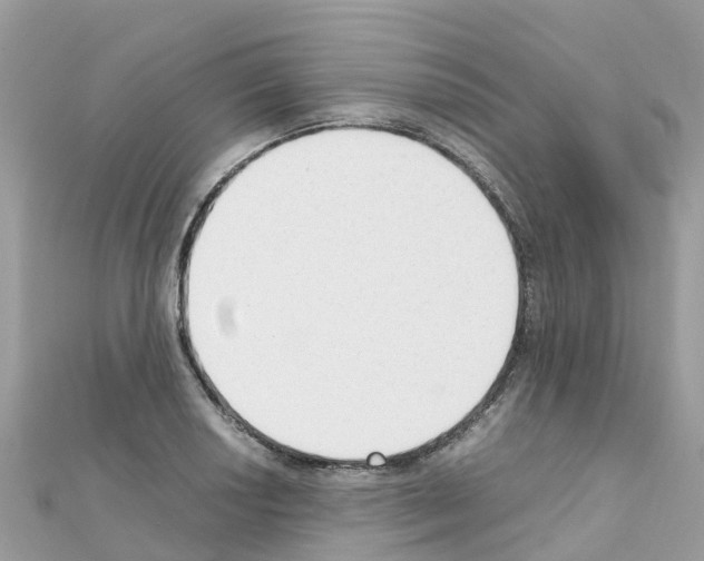 X0000111251034200908131203