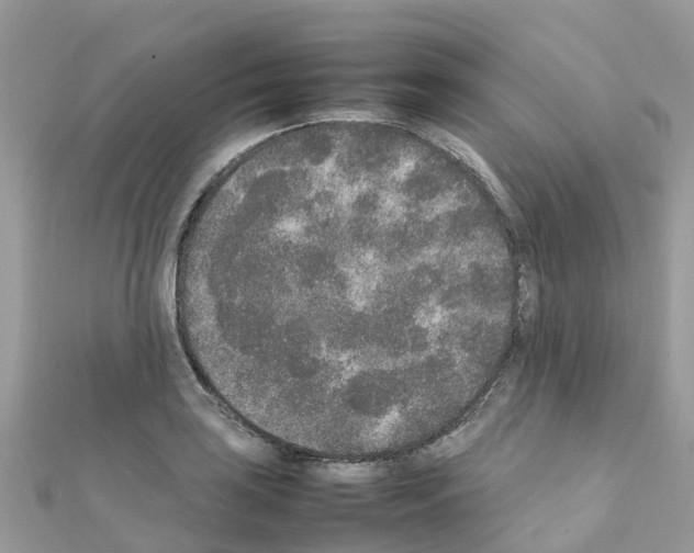 X0000111251035200908131203