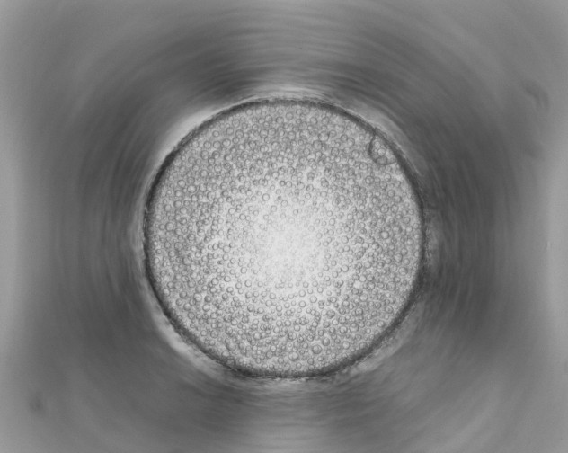 X0000111251038200908131203