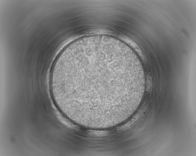 X0000111251039200908131203