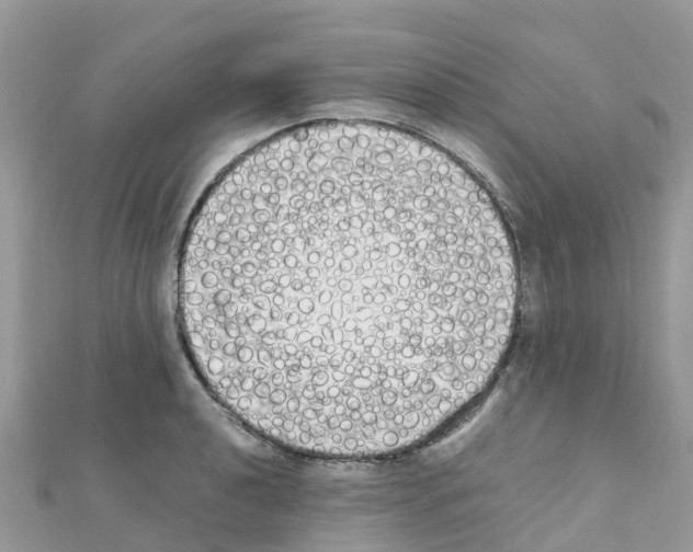 X0000111251040200908131203