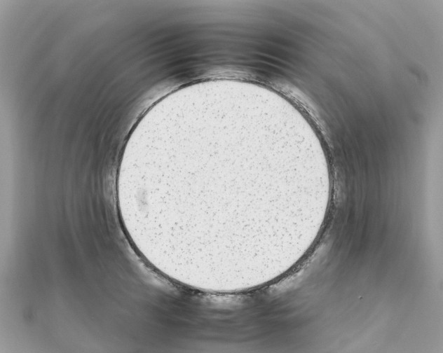 X0000111251041200908131203