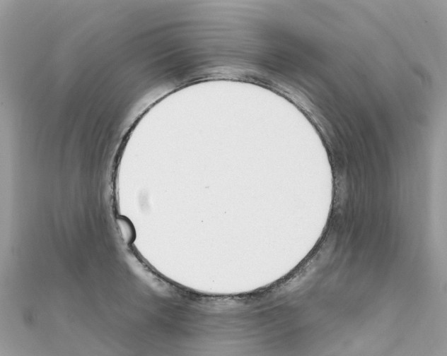 X0000111251042200908131203