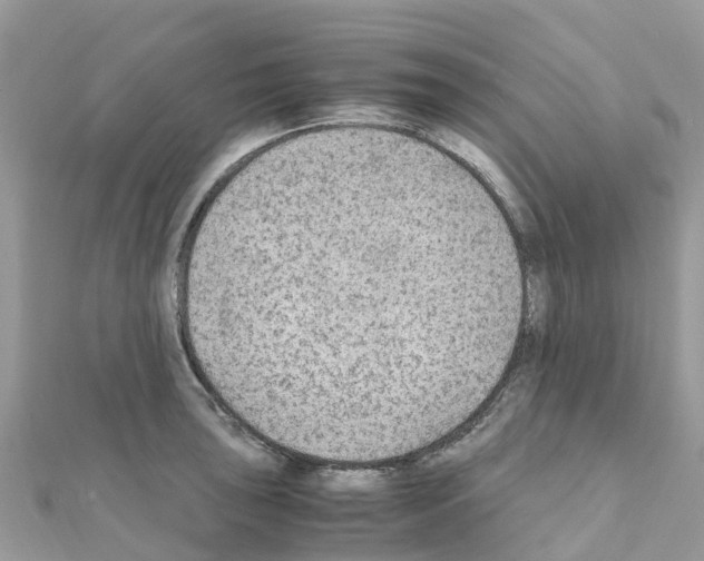 X0000111251043200908131203