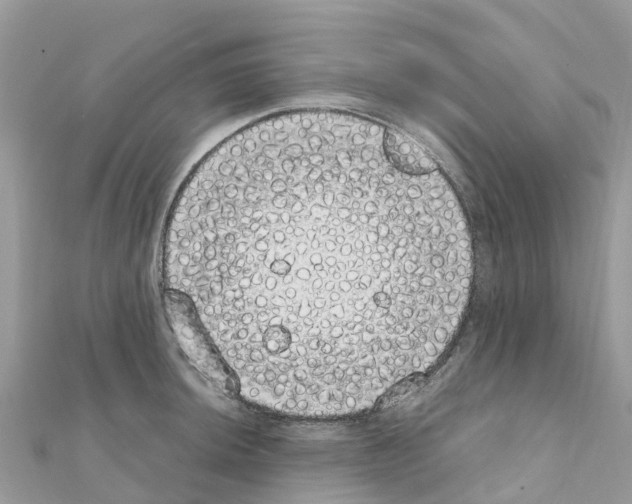 X0000111251044200908131203