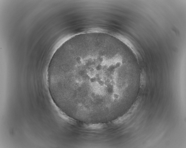 X0000111251047200908131203