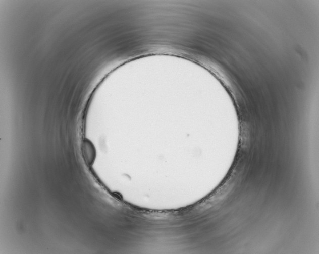 X0000111251048200908131203