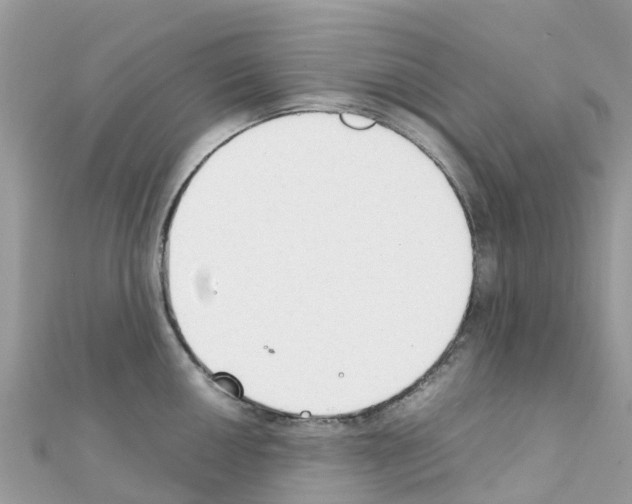 X0000111251050200908131203