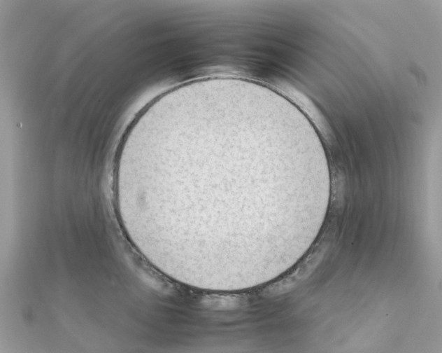 X0000111251051200908131203