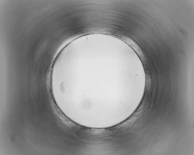 X0000111251052200908131203