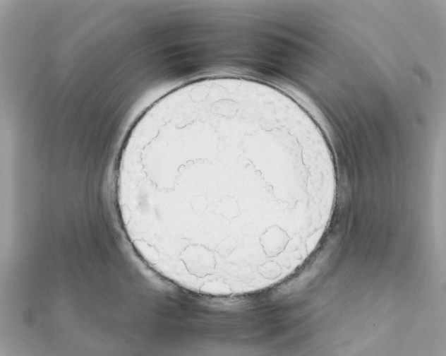 X0000111251053200908131203