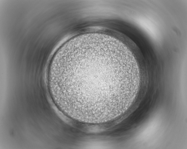 X0000111251054200908131203