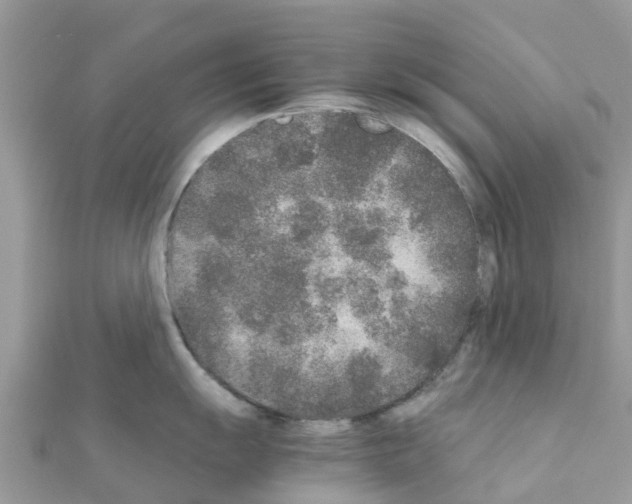 X0000111251055200908131203