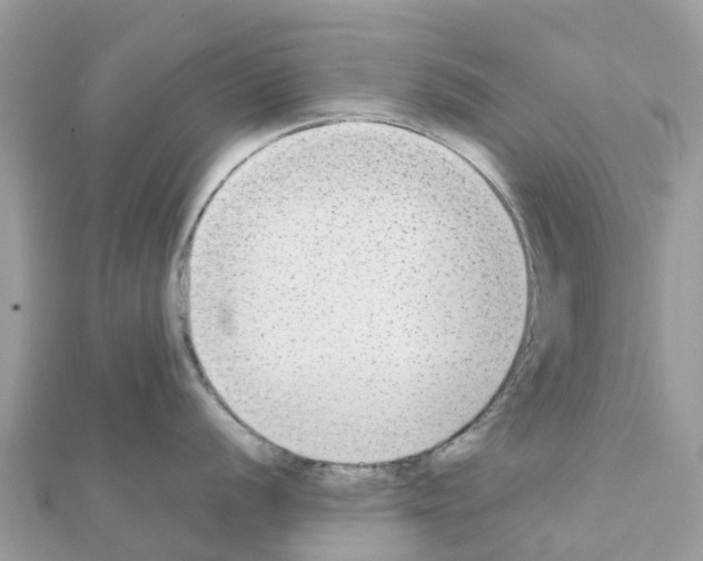 X0000111251056200908131203