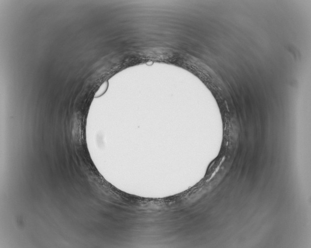 X0000111251058200908131203