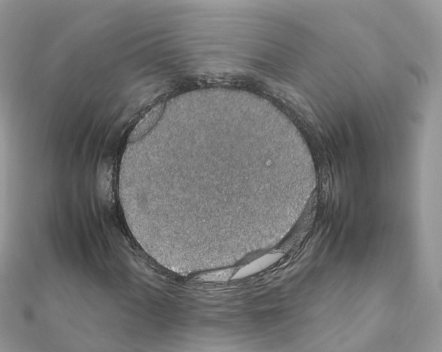 X0000111251060200908131203