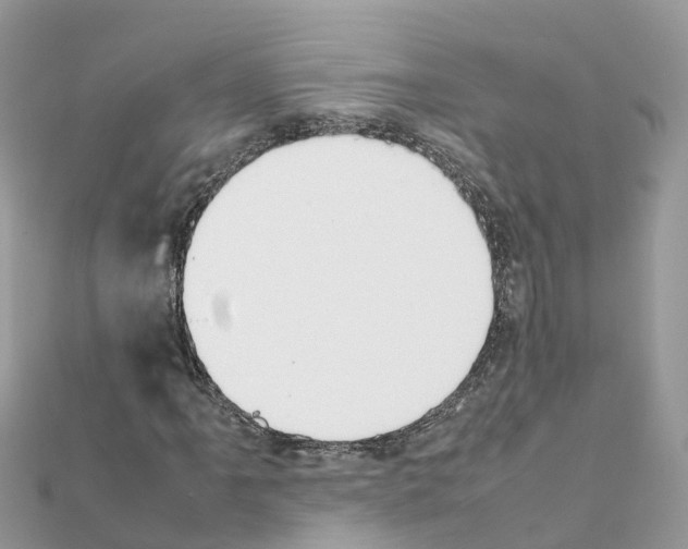 X0000111251061200908131203