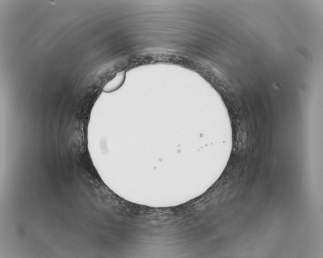 X0000111251062200908131203