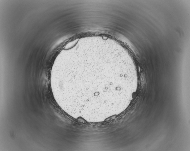 X0000111251064200908131203