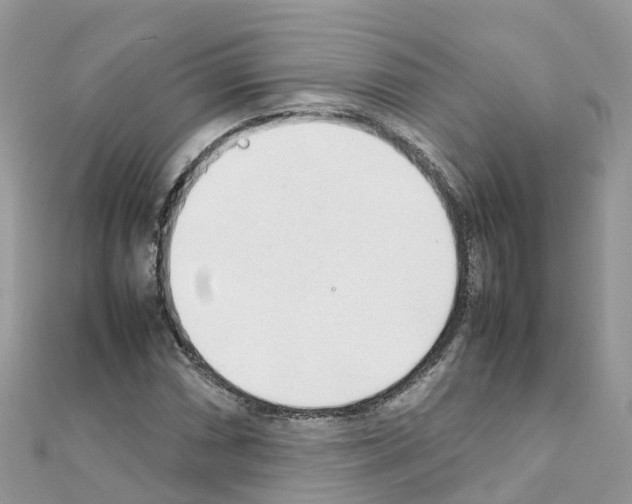 X0000111251066200908131203