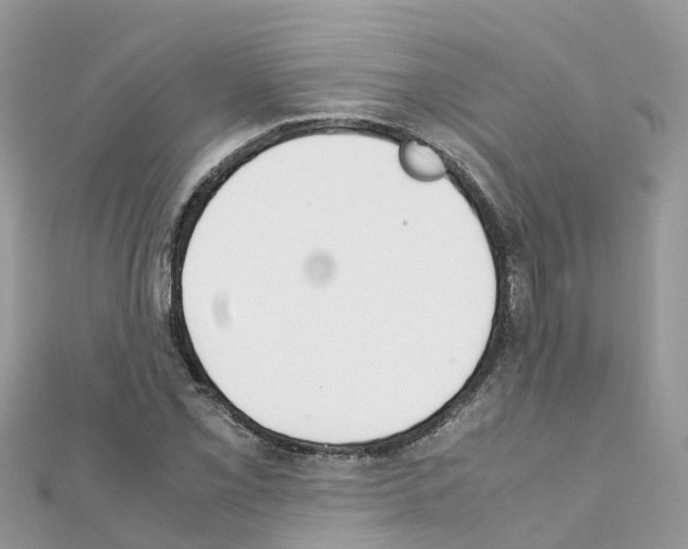 X0000111251069200908131202