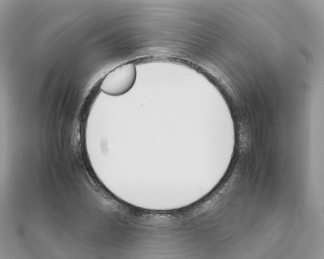 X0000111251070200908131202