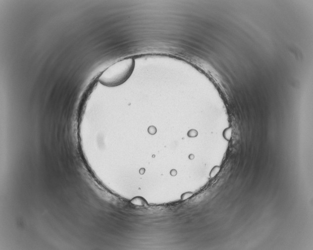 X0000111251072200908131202