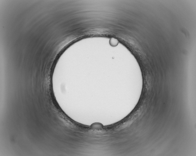 X0000111251073200908131202