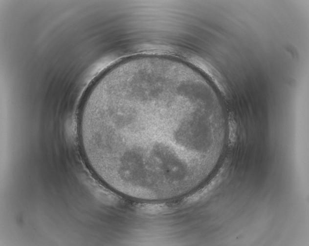 X0000111251074200908131202