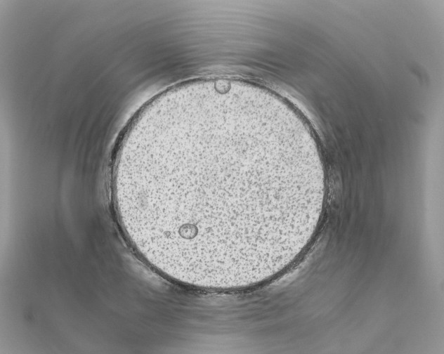 X0000111251075200908131202