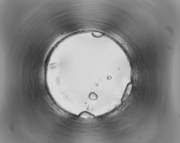 X0000111251076200908131202