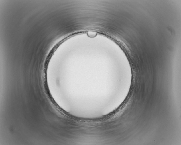 X0000111251077200908131202