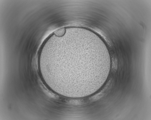 X0000111251078200908131202