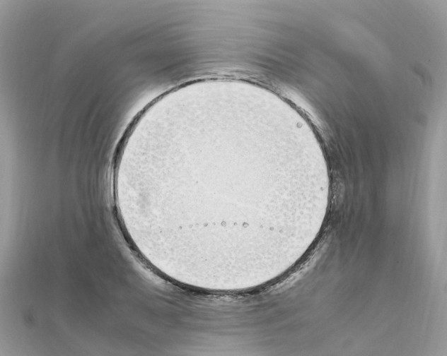 X0000111251079200908131202