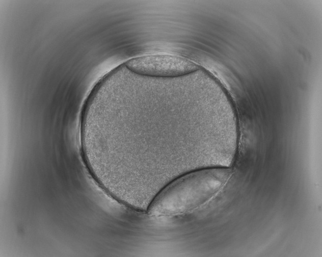 X0000111251080200908131202