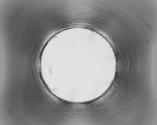 X0000111251083200908131202