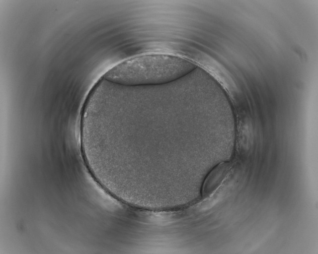 X0000111251084200908131202