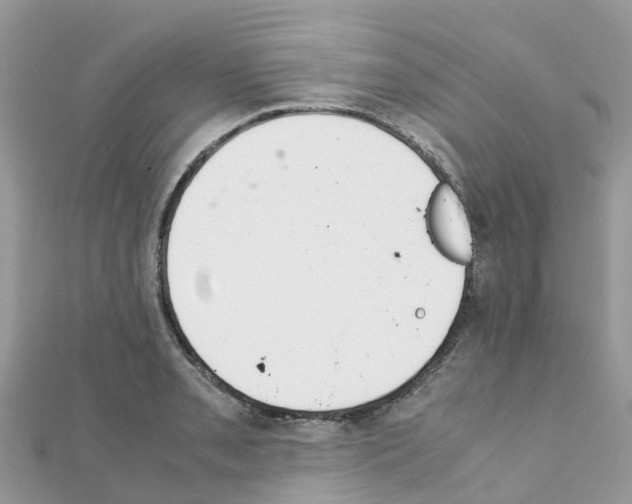 X0000111251085200908131202