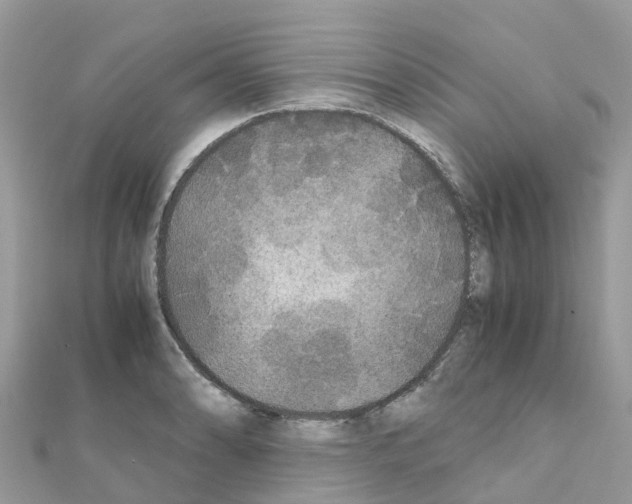 X0000111251086200908131202