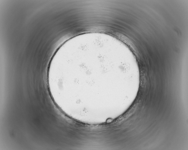 X0000111251087200908131202