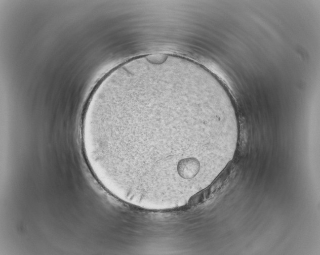 X0000111251088200908131202