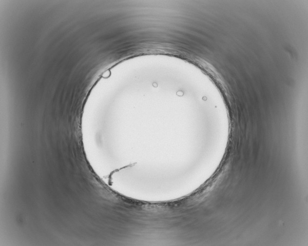 X0000111251089200908131202