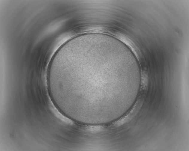 X0000111251090200908131202