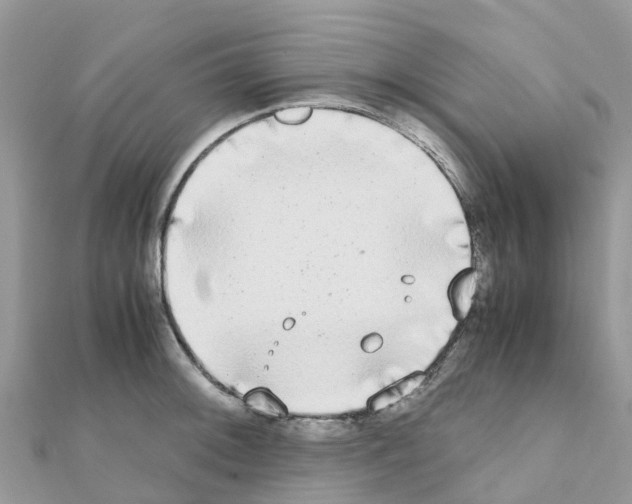 X0000111251092200908131202