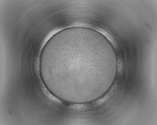 X0000111251094200908131202